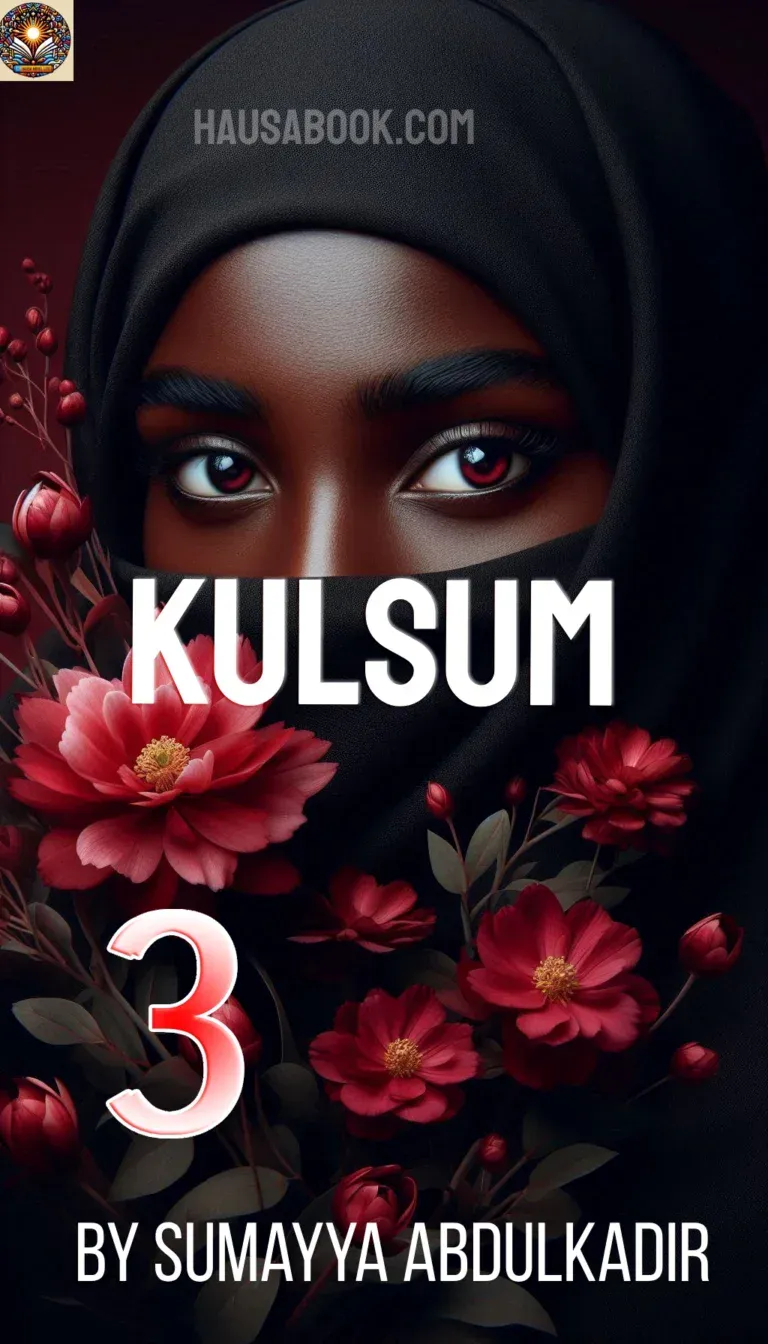 Kulsum book 3 hausa novel