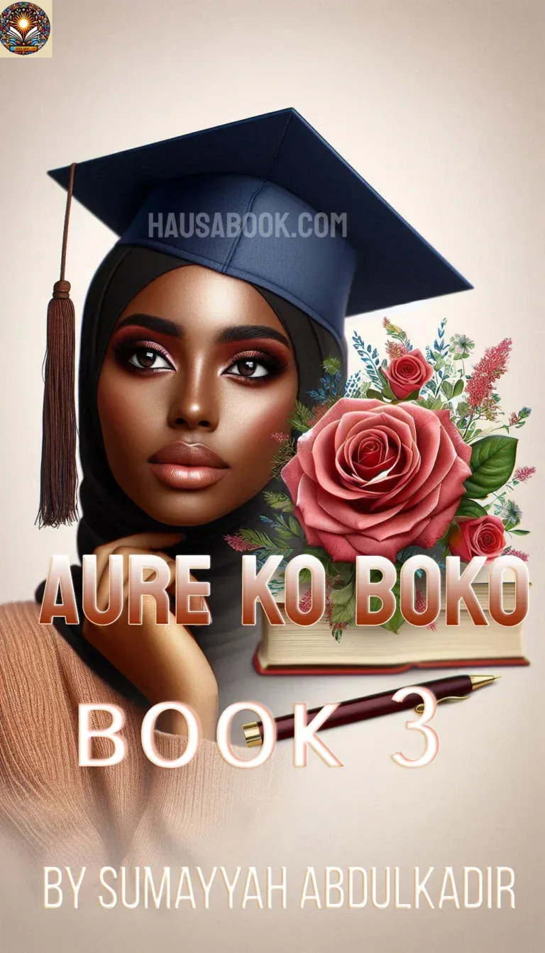 Aure ko boko book 3 Hausa Novel