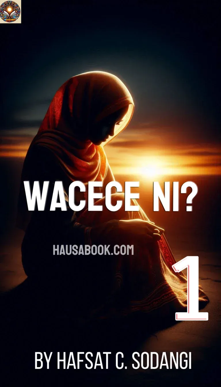 Wacece ni Book 1 Hausa Novel by Hafsat C. Sodangi