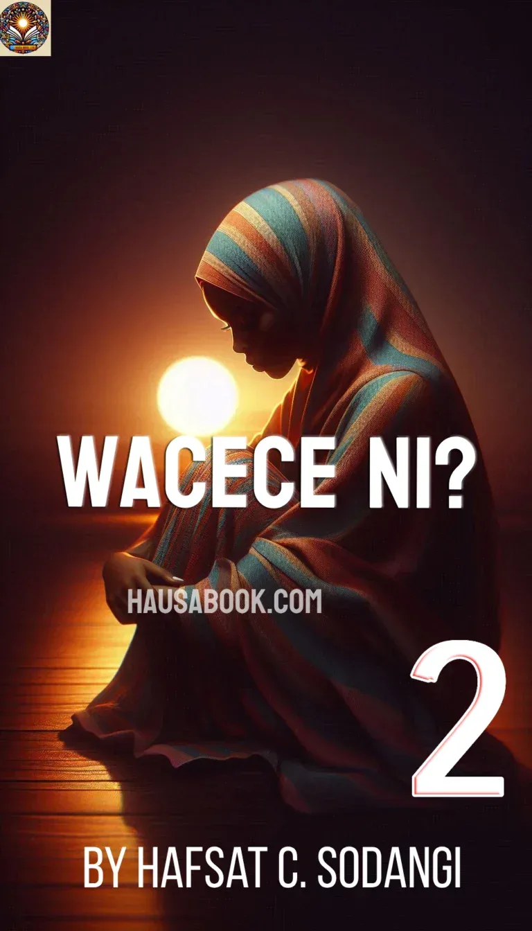 Wacece ni Book 2 Hausa Novel by Hafsat C. Sodangi
