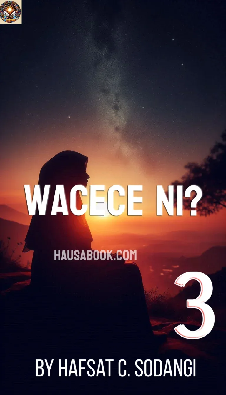 Wacece ni Book 3 Hausa Novel by Hafsat C. Sodangi