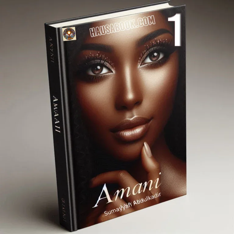 Amani Book 1 Hausa Novel by Sumayyah Abdulkadir