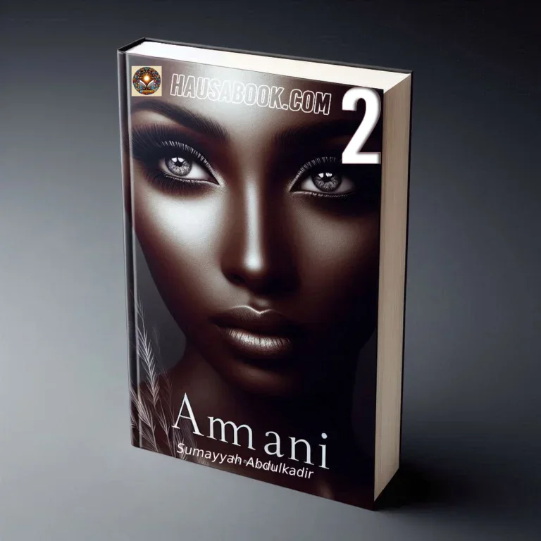 Amani Book 2 Hausa Novel by Sumayyah Abdulkadir
