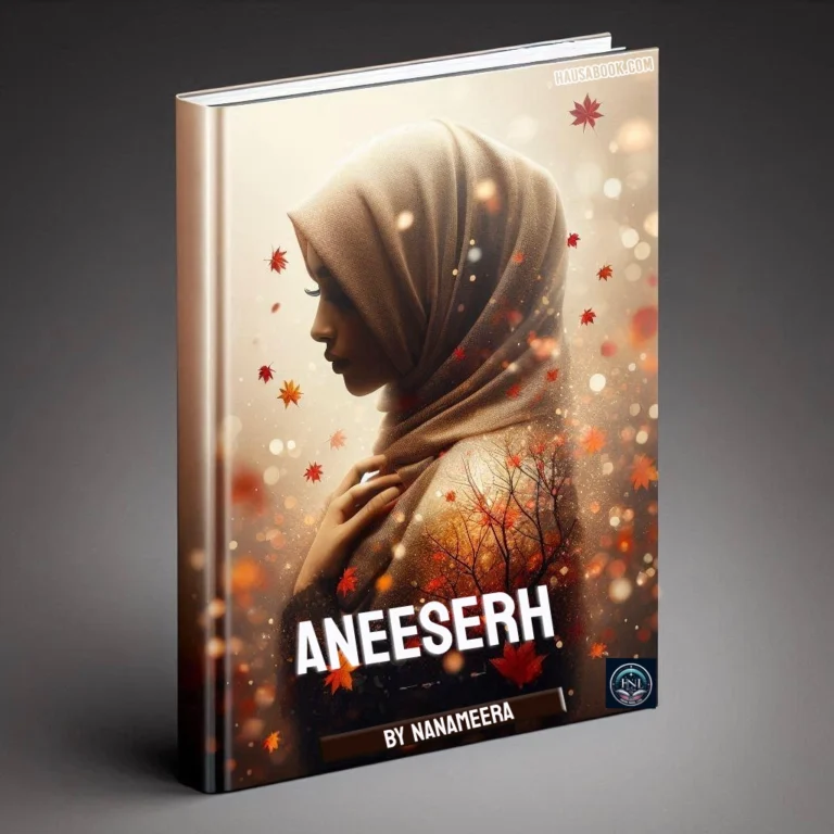 Aneeserh Hausa Novel by Nanameera