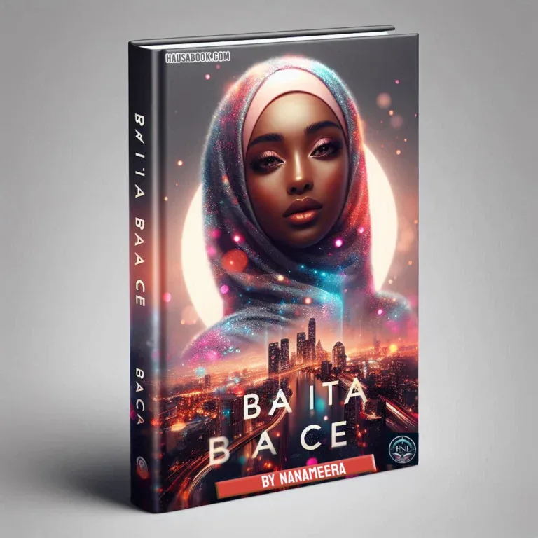 Ba ita Bace Hausa Novel by Nanameera