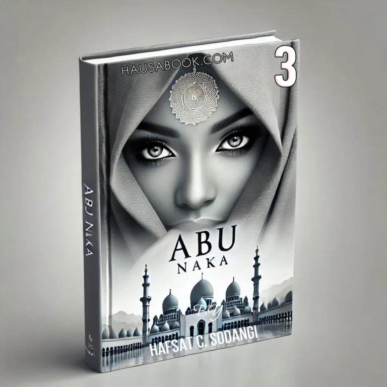 Abu Naka Book 3 Hausa Novel By Hafsat C. Sodangi