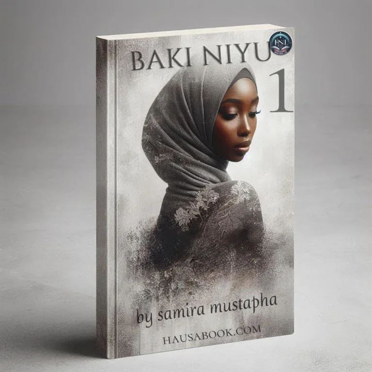 Baki Biyu Book 1 Hausa Novel By Samira Mustapha