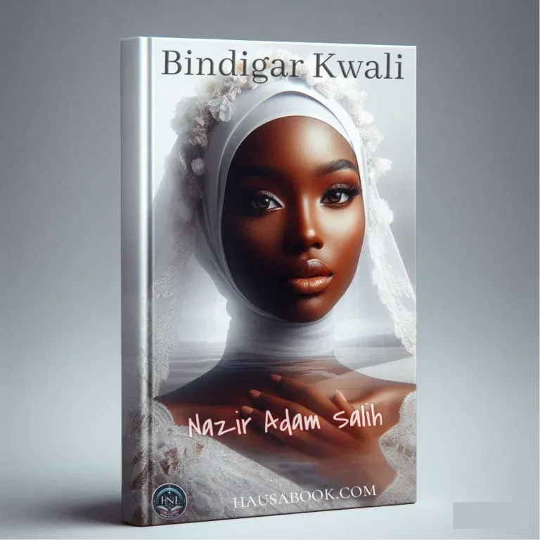 Bindigar Kwali Hausa Novel By Nazir Adam Salih