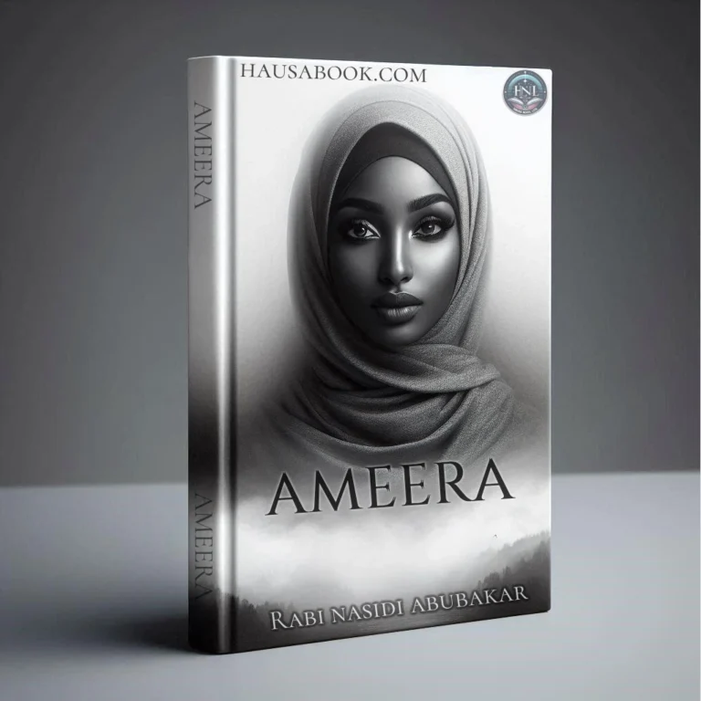 Ameera Hausa Novel by Rabi Nasidi Abubakar