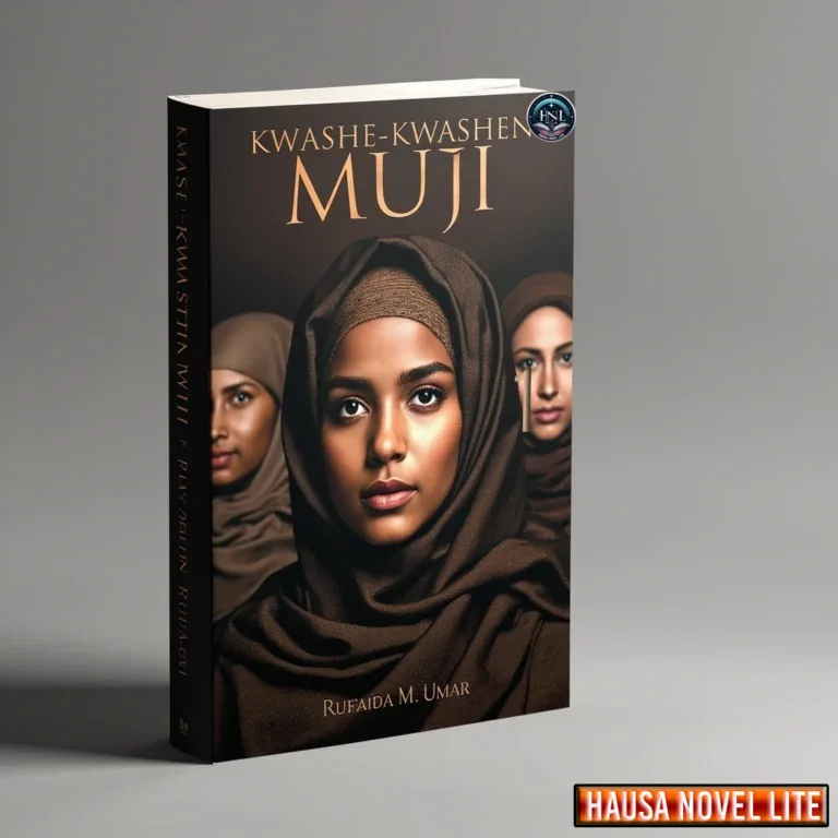 Hausa Novels book cover featuring a woman in traditional attire, highlighting Hausa literature and s.