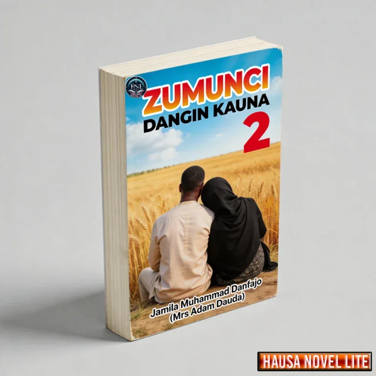Hausa Novels book cover titled "Zumunci Dangi Kauna 2" by Jamila M. Danafjo, set in a wheat field wi.